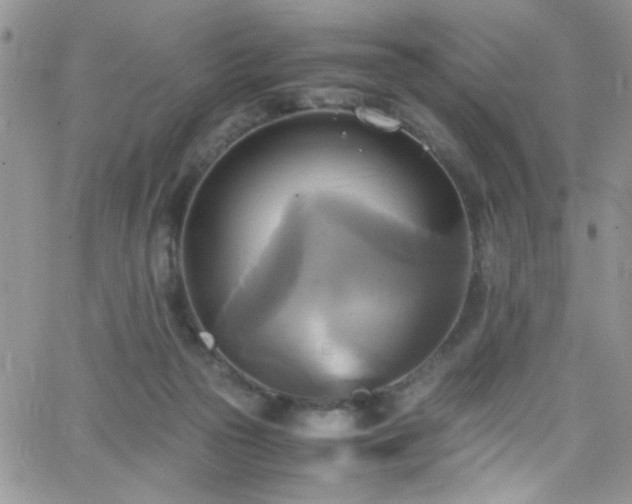 X0000066520169200603201333