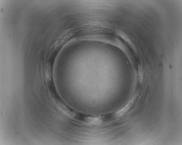 X0000066520170200603201333