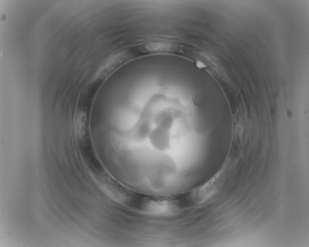 X0000066520171200603201333