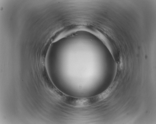 X0000066520172200603201333