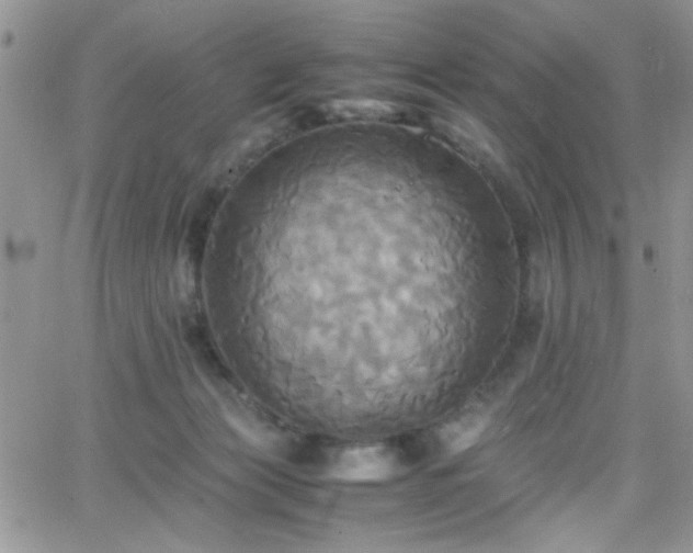 X0000066520173200603201333