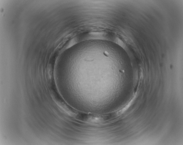 X0000066520174200603201333