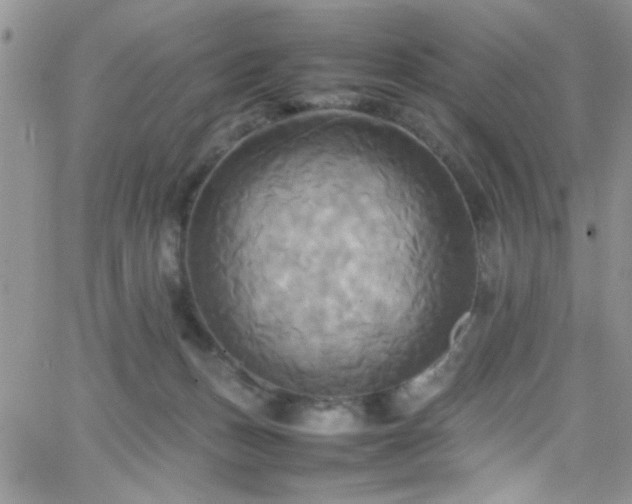 X0000066520175200603201333