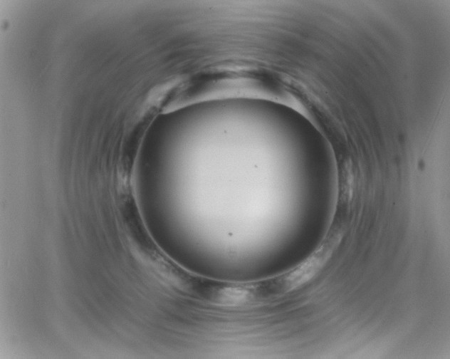 X0000066520176200603201333