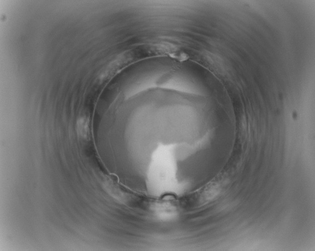 X0000066520177200603201333