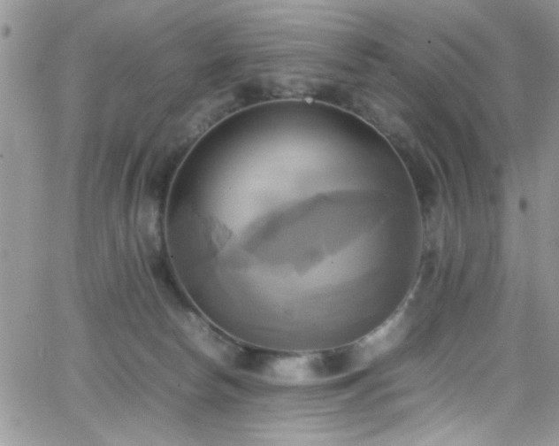 X0000066520178200603201333