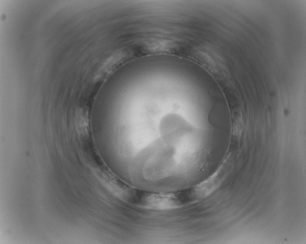 X0000066520179200603201333