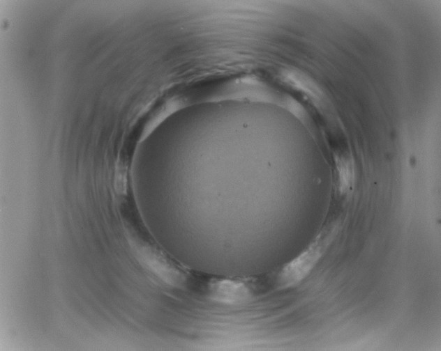 X0000066520180200603201333