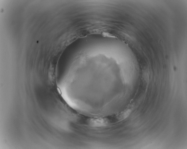 X0000066520181200603201333