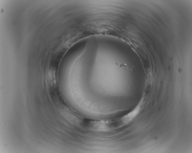 X0000066520182200603201333