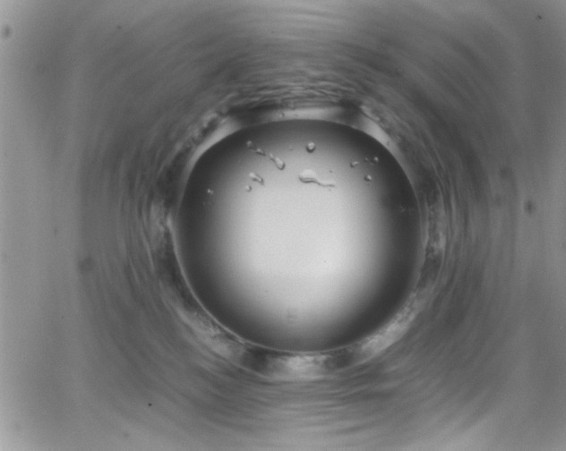 X0000066520184200603201333