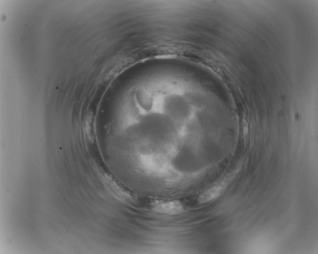 X0000066520185200603201333