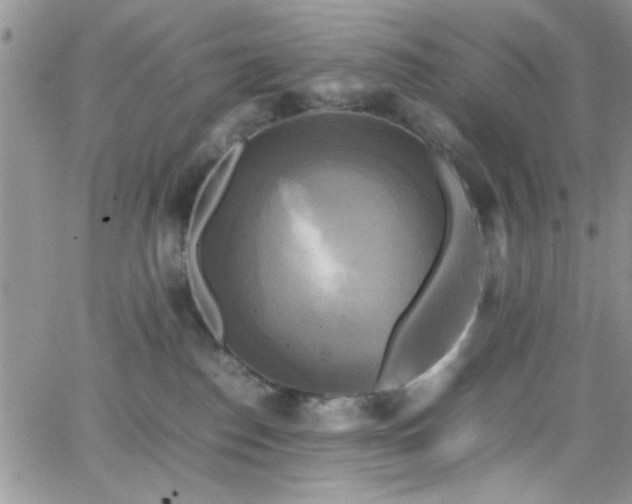 X0000066520186200603201333