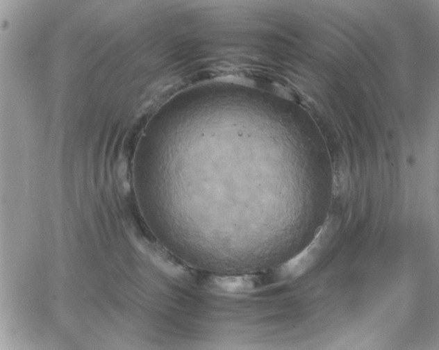 X0000066520187200603201333