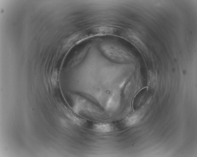 X0000066520189200603201333