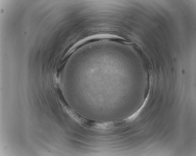 X0000066520190200603201333