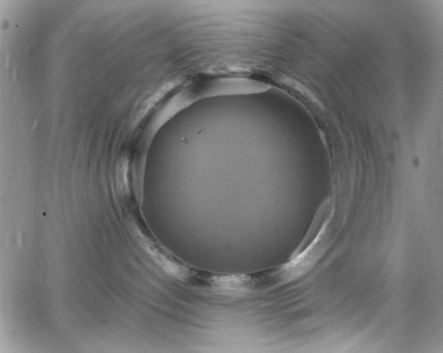 X0000066520192200603201333