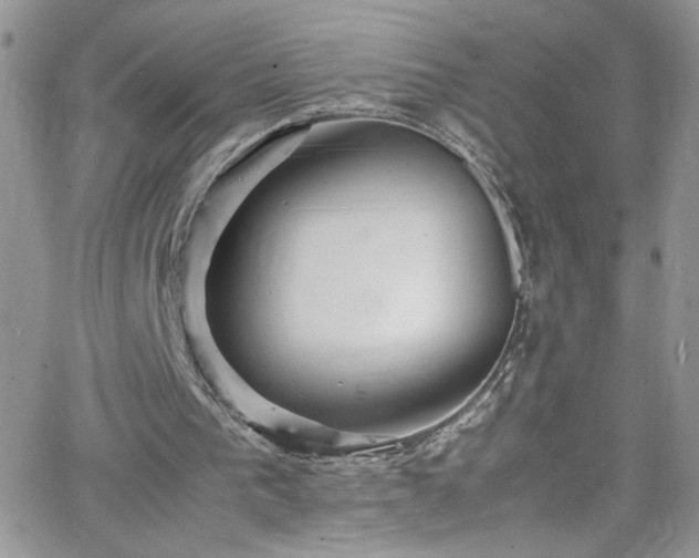 X0000066520193200603201332