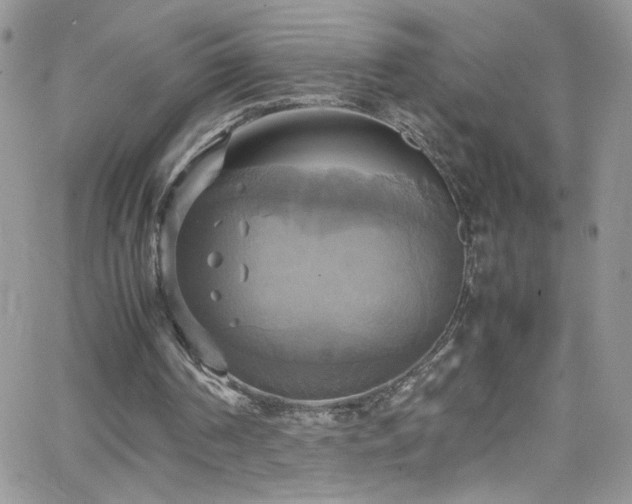 X0000066520194200603201332