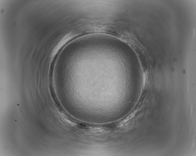 X0000066520195200603201332