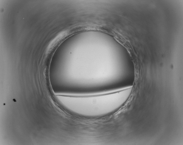 X0000066520197200603201332