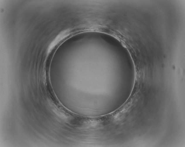 X0000066520198200603201332