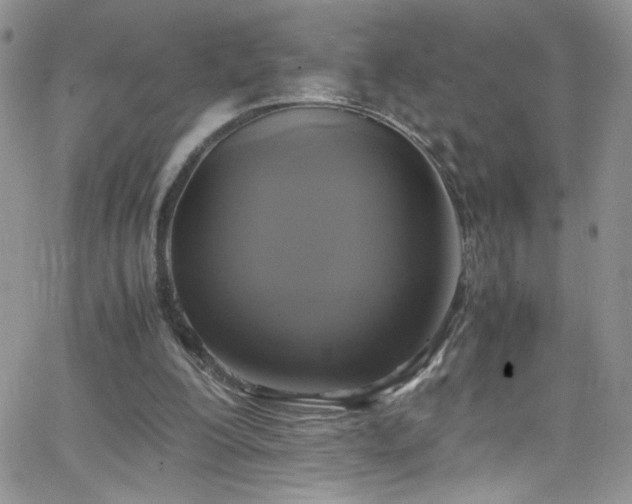 X0000066520200200603201332