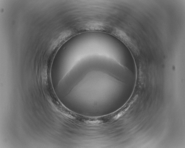 X0000066520202200603201332