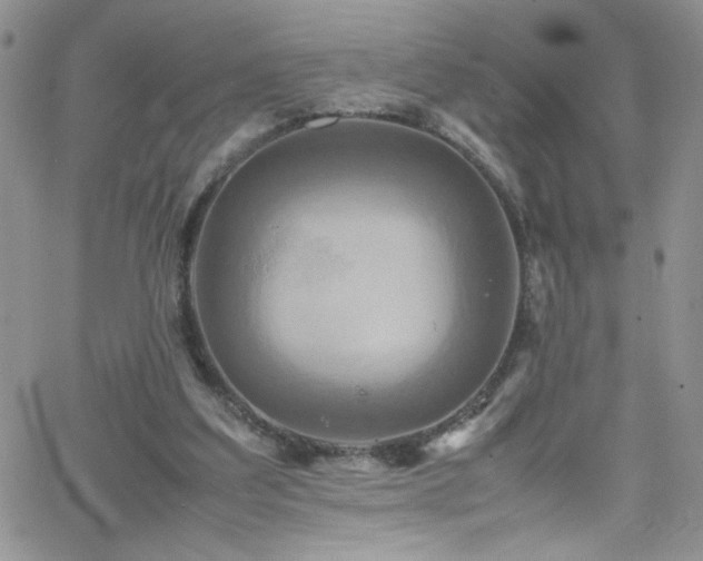 X0000066520203200603201332