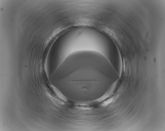 X0000066520204200603201332