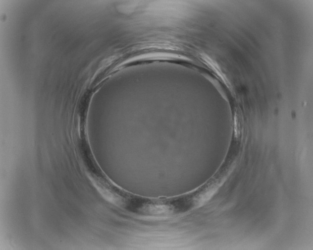 X0000066520205200603201332