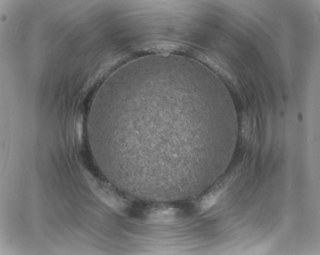 X0000066520206200603201332