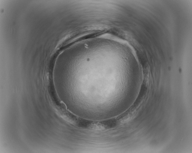 X0000066520207200603201332