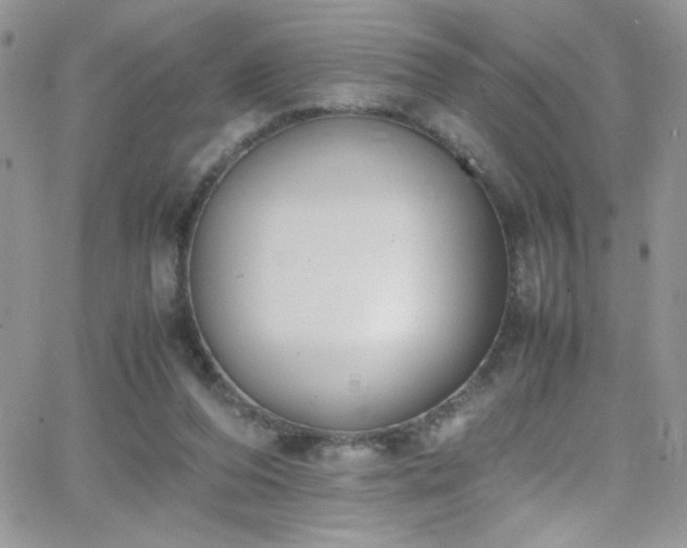 X0000066520208200603201332