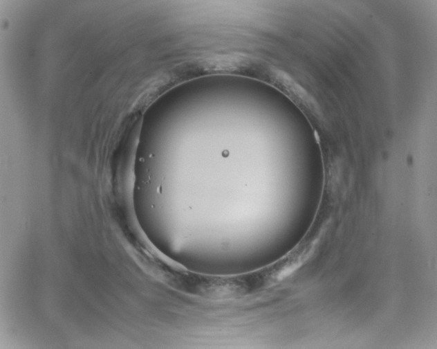 X0000066520209200603201332