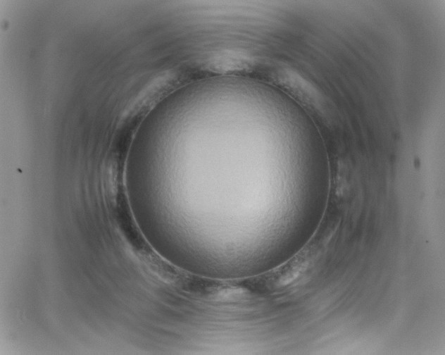 X0000066520210200603201332