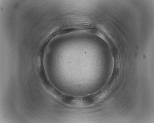 X0000066520211200603201332