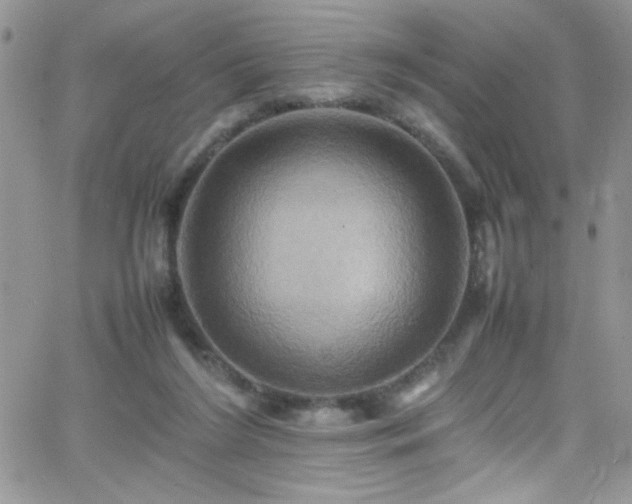 X0000066520212200603201332