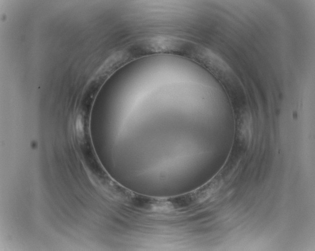 X0000066520214200603201332