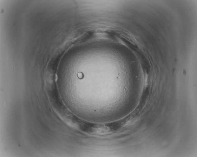 X0000066520215200603201332