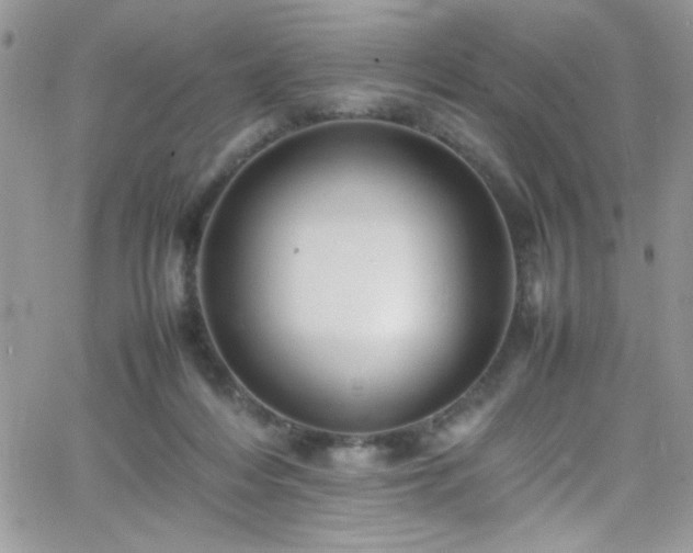 X0000066520216200603201332