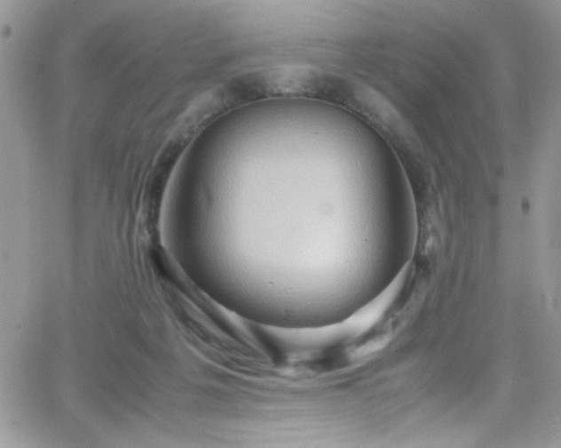 X0000066520217200603201332