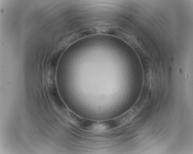 X0000066520218200603201332