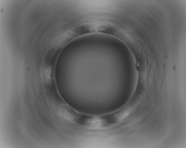 X0000066520219200603201332