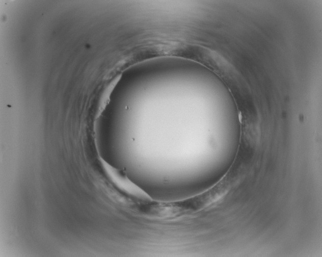 X0000066520221200603201332