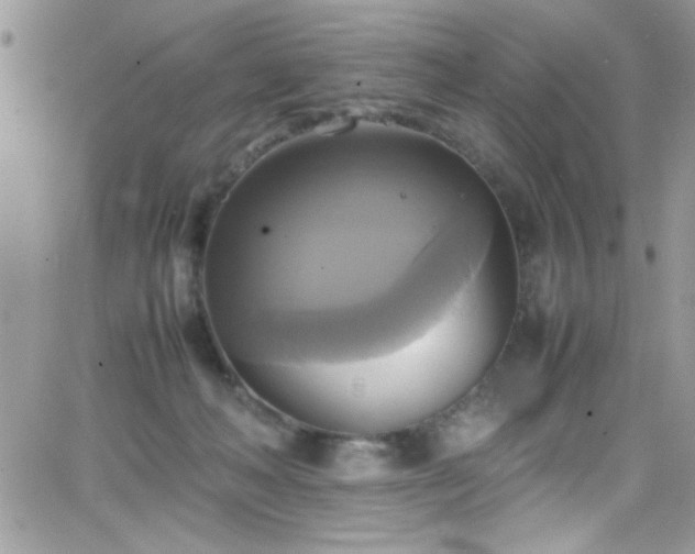 X0000066520222200603201332