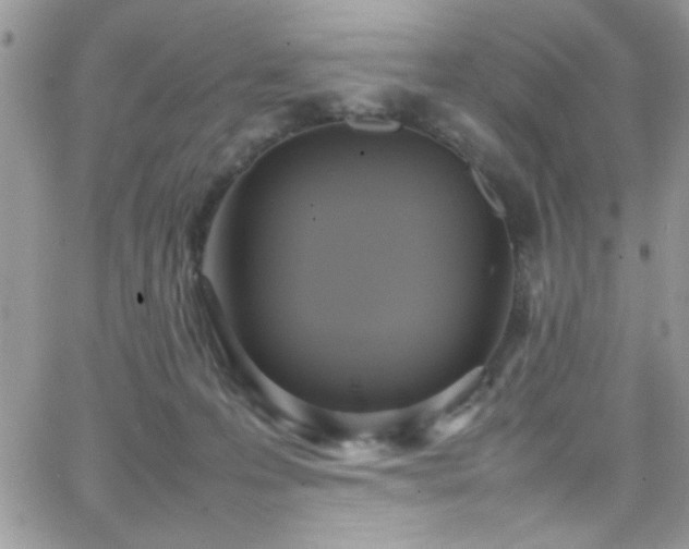 X0000066520223200603201332