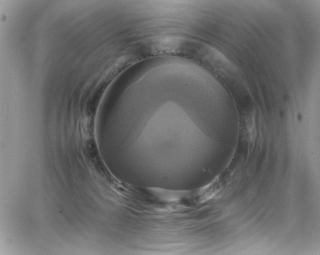 X0000066520224200603201332