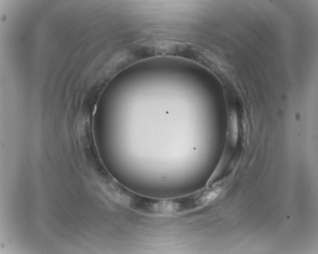 X0000066520225200603201332