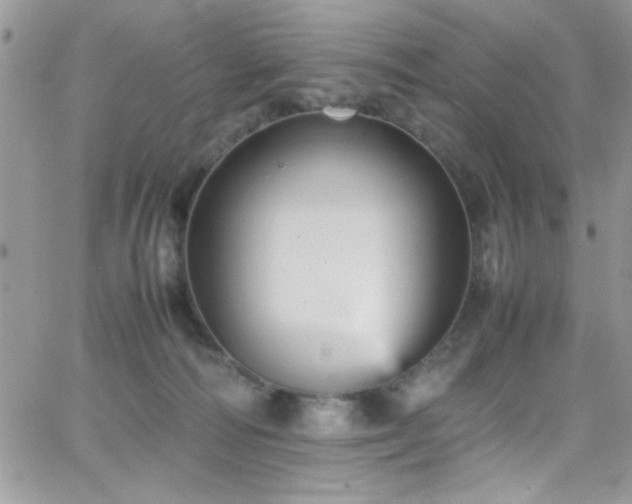 X0000066520226200603201332